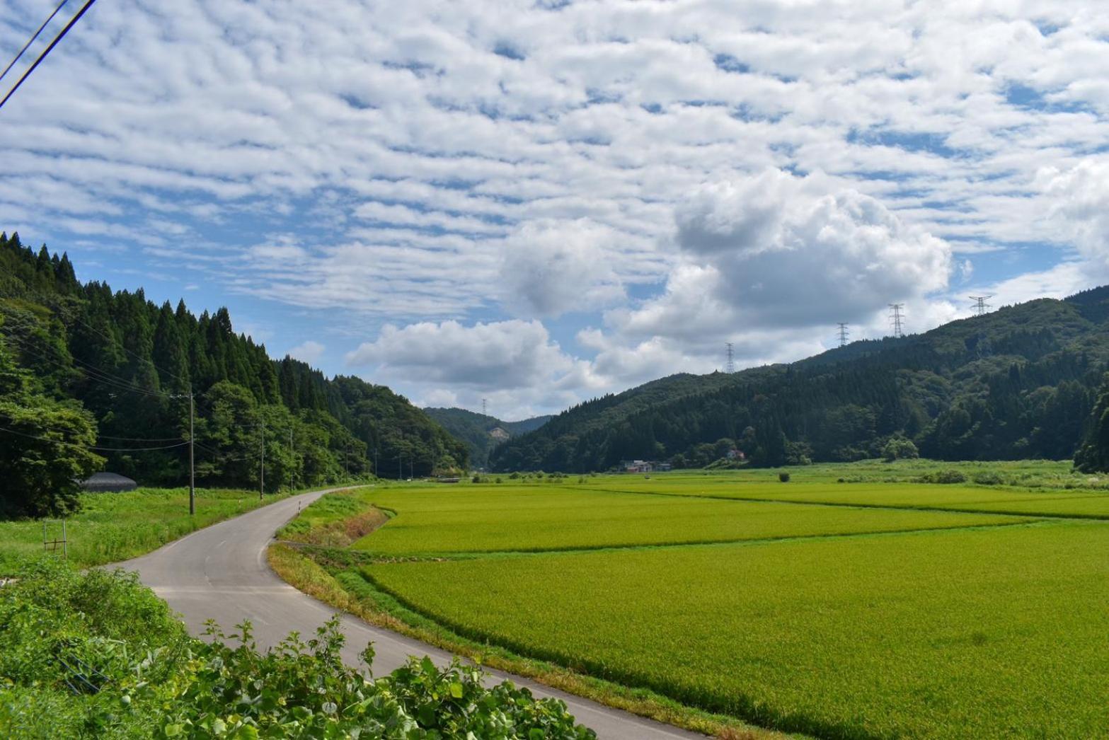 白神山地の麓でヤギのいるゲストハウス　あわじ商店 *